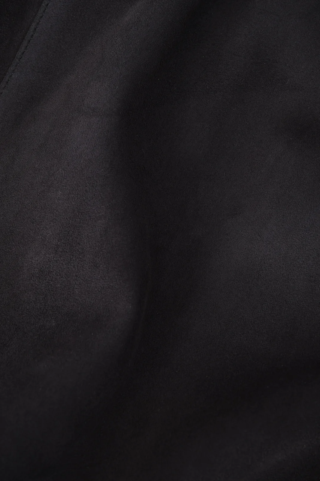 Blouson en peau à capuche zippé - Noir - Image 3